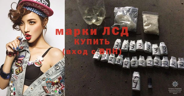 apvp Верея