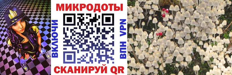 Галлюциногенные грибы Cubensis darknet наркотические препараты Вихоревка сколько стоит